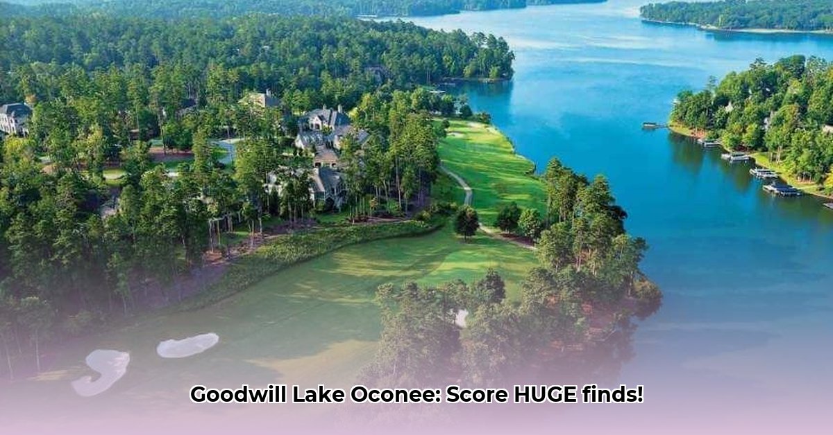 goodwill-lake-oconee-georgia